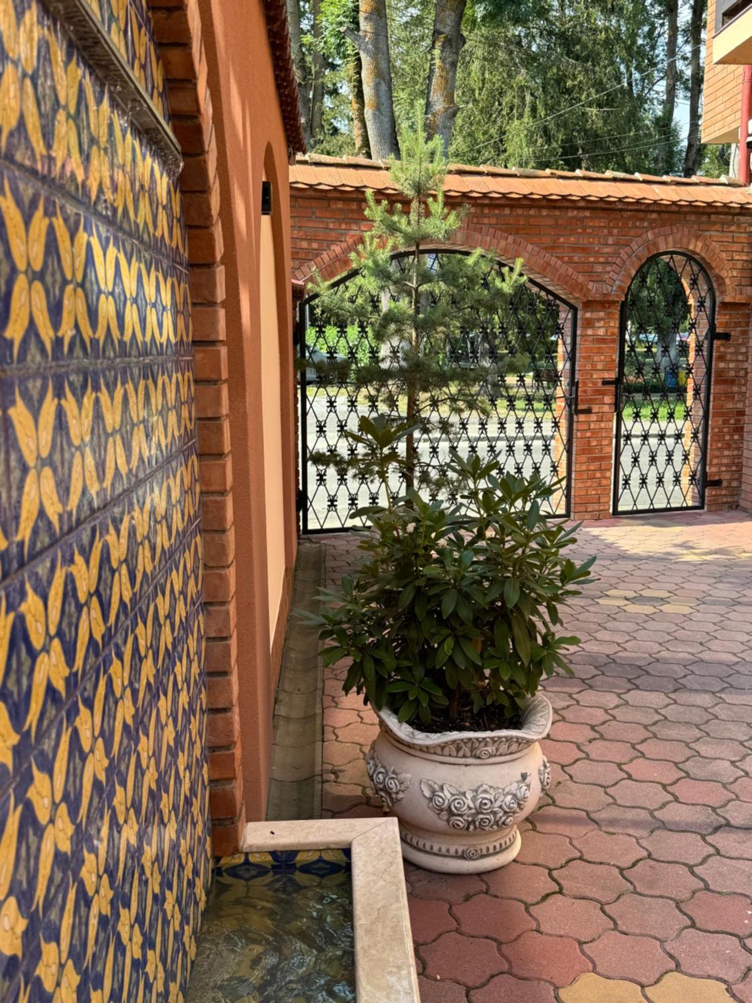 סינג'ורס ביי Vila Luminita מראה חיצוני תמונה